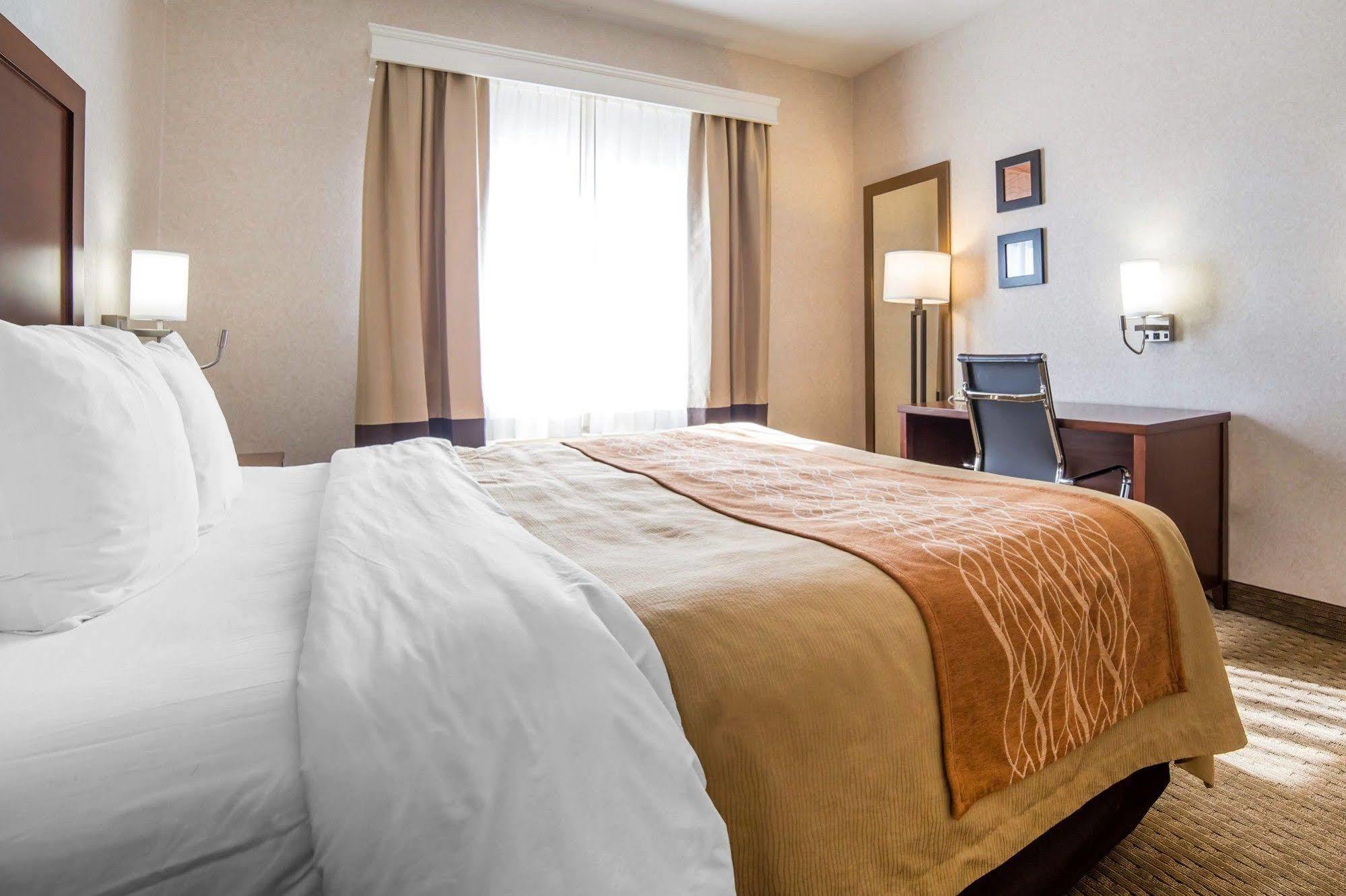Comfort Inn אלקו מראה חיצוני תמונה